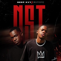 NST (feat. EltonK) - Single - Deep Kvy