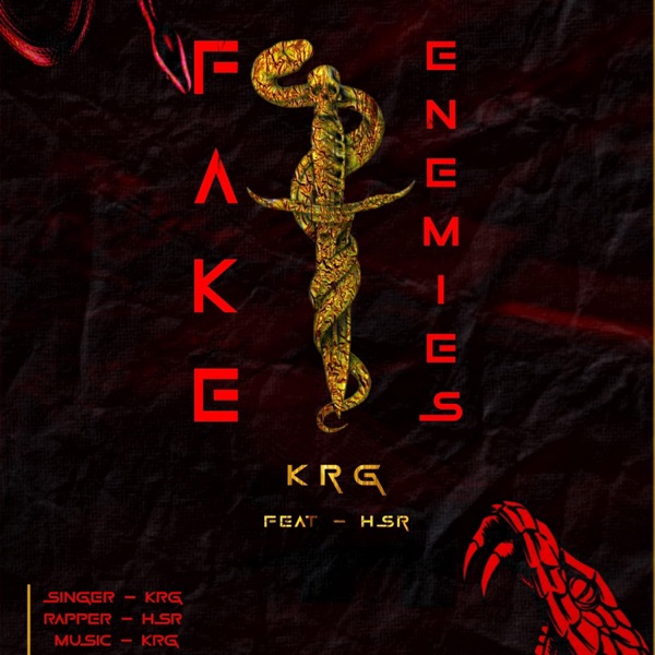 FAKE ENEMIES (feat. HSR)