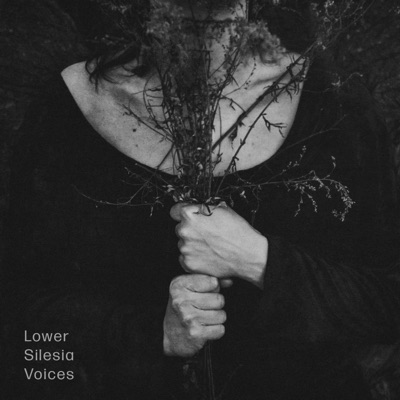 Lower Silesia Voices
