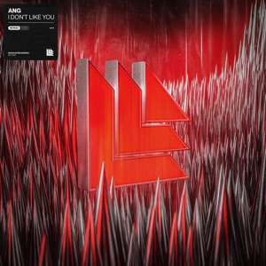 I Don't Like You - Single