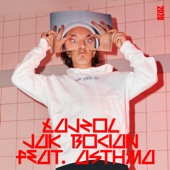 Jak Bocian (feat. Falcon1) artwork