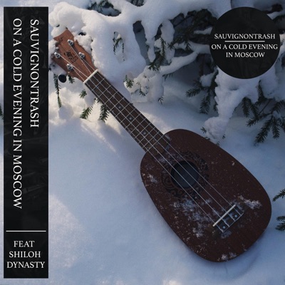 On a Cold Evening In Moscow - Single