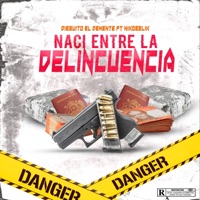 Naci entre la delincuencia (feat. Dieguito el demente) - Single - Nikobelik