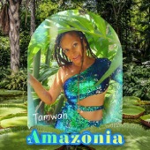 Amazonia artwork