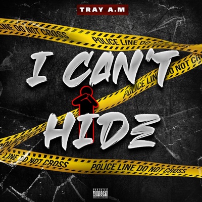 I Cant Hide - Single