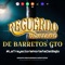 Tamarindo. - GRUPO Recuerdo Norteño de Barretos GTO. lyrics