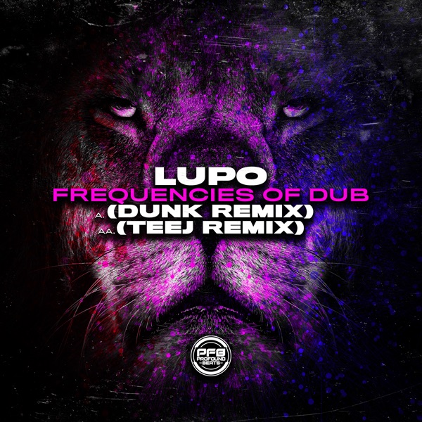 Frequencies of Dub (Remixes) [feat. Dunk & Teej] - Single
