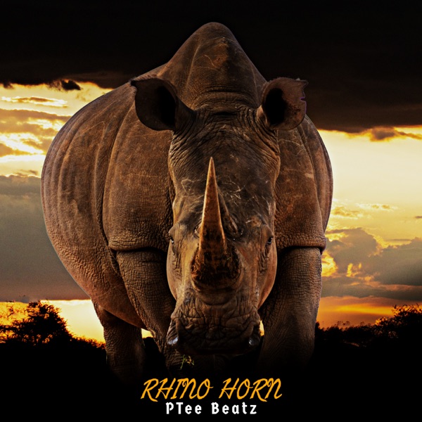 Rhino Horn