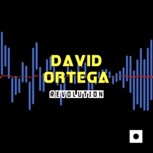 Revolution - Single