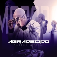 Agradecido - Single - MaderaLimpia