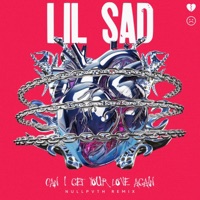 Can I Get Your Love Again (NULLPVTH Remix) - Single - lil sad