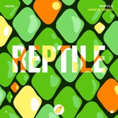 Reptile (Waeys Remix) artwork