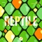 Reptile (Waeys Remix) artwork