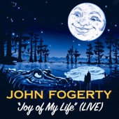 Joy Of My Life (Live) artwork