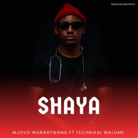 Shaya (feat. Technikal Malume) Mjovo Wabantwana