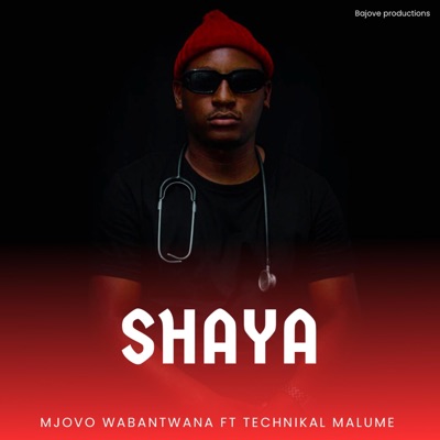 Shaya (feat. Technikal Malume) - Single