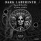 Dark Labyrinth - SparkNoize lyrics