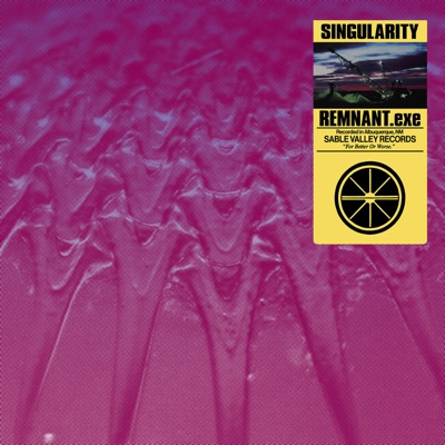 Singularity - Single