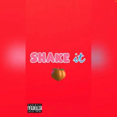 $hake It - Single