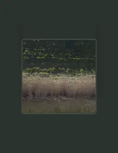 Listen to Forest On Stasys, watch music videos, read bio, see tour dates & more!