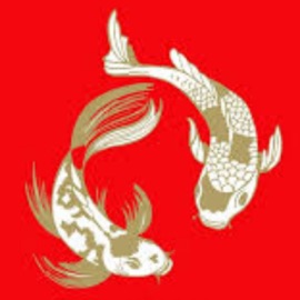 BERIMBAL RITMADO NA TRETA DO ABATE MC VN Cria & Dj Kaue Original