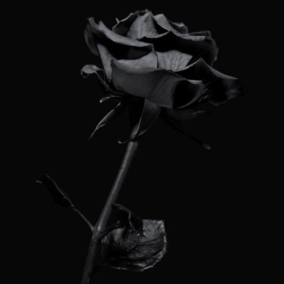 WANNA (LEVI) (feat. TSICK & Kidie The Soloist) - Single