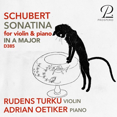 Violin Sonata (Sonatina) in A Minor, Op. 137 No. 2, D. 385 - Single