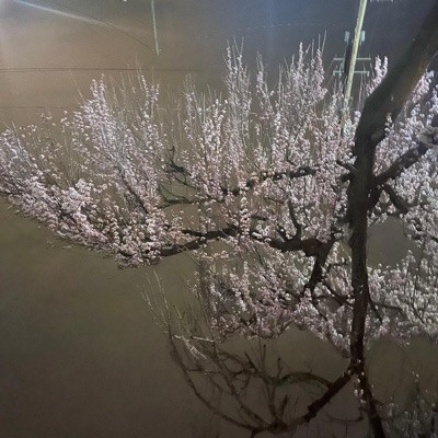 Bracket Diff - Single