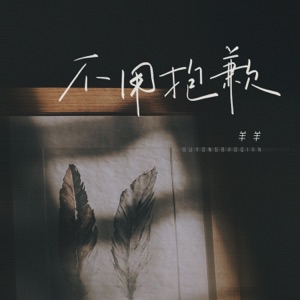 不用抱歉 - Single