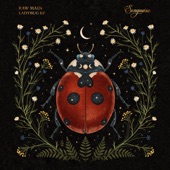 Ladybug (Extended Mix) artwork