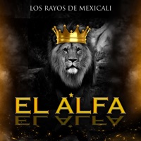 Album cover for El Alfa by Los Rayos De Mexicali
