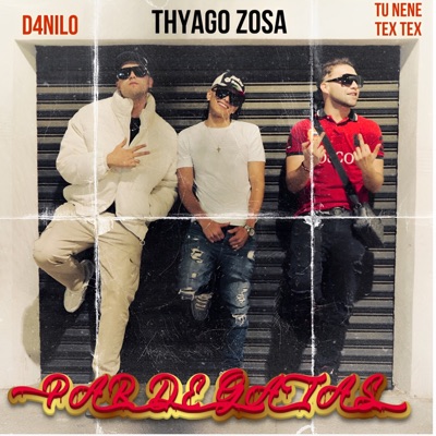Par de Gatas (feat. D4NIL0 & TU NENE TEX TEX) - Single
