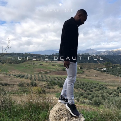 Life Is Beautiful - Single