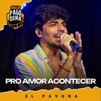 Pro Amor Acontecer (feat. EL PAVUNA) - Single - Pagodeira