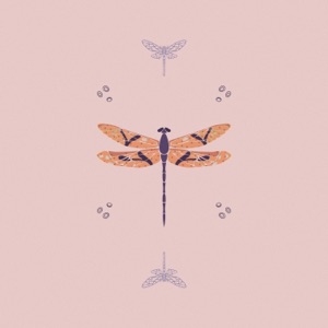 Dragonflies
