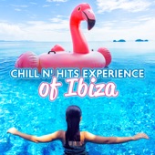 Chill N' Hits Experience of Ibiza: Beach Party Music, Summer 2023 Poolside Bar, Club and Café Lounge to del Mar artwork