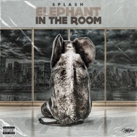 Elephant In the Room - Splash