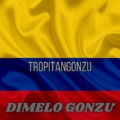 Set colombiano Tropitango 2 artwork