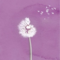 Diente de León - Single - SILVANA