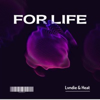 For Life (feat. Lvndie) - Single - Heatfeen