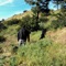 Meadow - Joeyy & Marlon DuBois lyrics