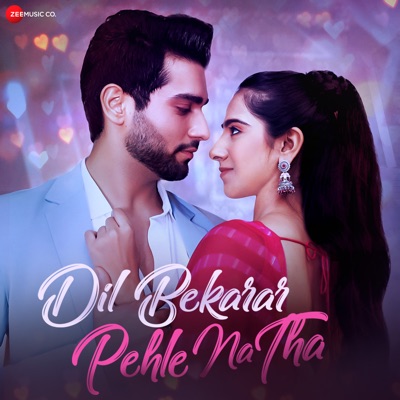 Dil Bekarar Pehle Na Tha - Single