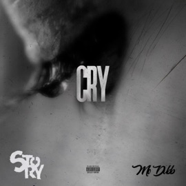 CRY (feat. Mo Dubb) STORY