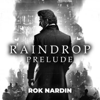 Raindrop Prelude - Single - Rok Nardin