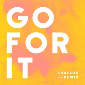 Go For It (Shallou Remix) - Single
