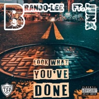 Look what you've done (feat. Junk) - Single - Brando-Lee