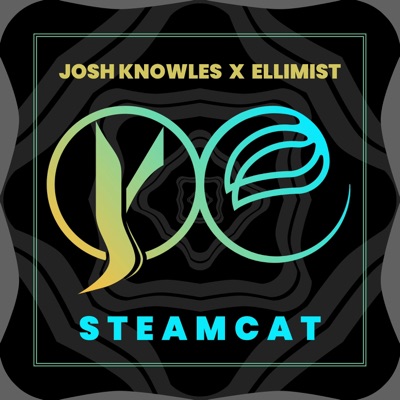 SteamCat - Single