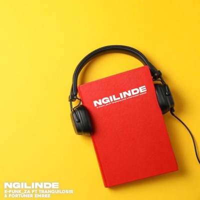 Ngilinde (feat. Fortuner Emree & TRANQUILLOSIR) - Single