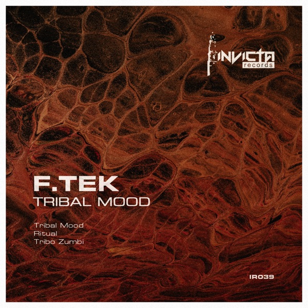 Tribal Mood - Single