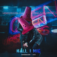 HÅLL I MIG - Single - Raggarligan & Ness
